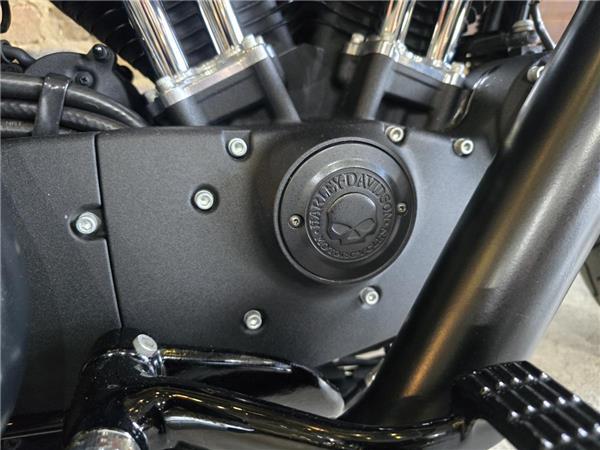 2019 Harley-Davidson Sportster