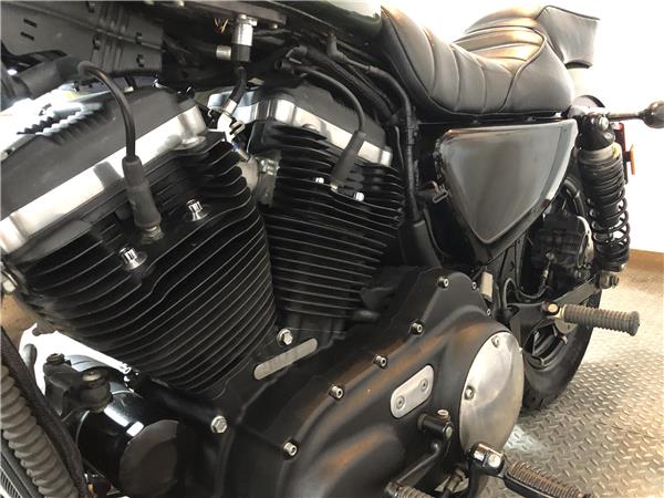 Harley-Davidson Sportster XL883N Iron