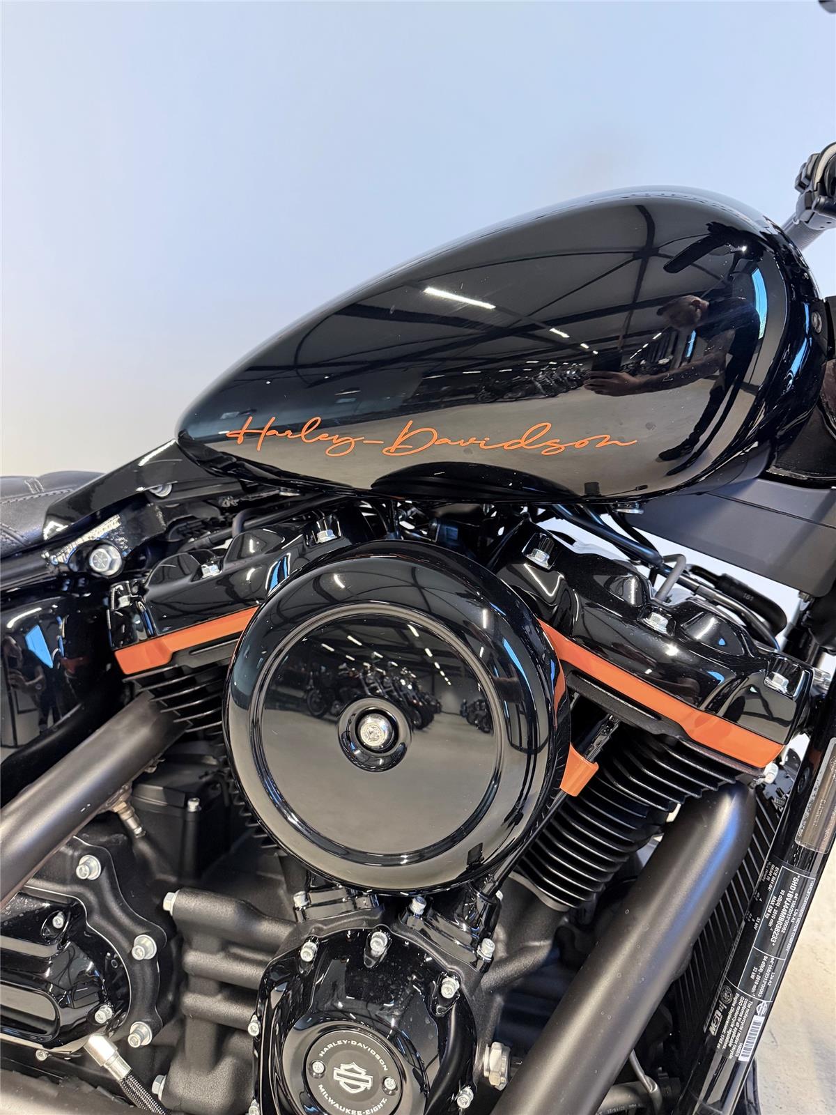 2021 harley-davidson FXST Softail Standard 107