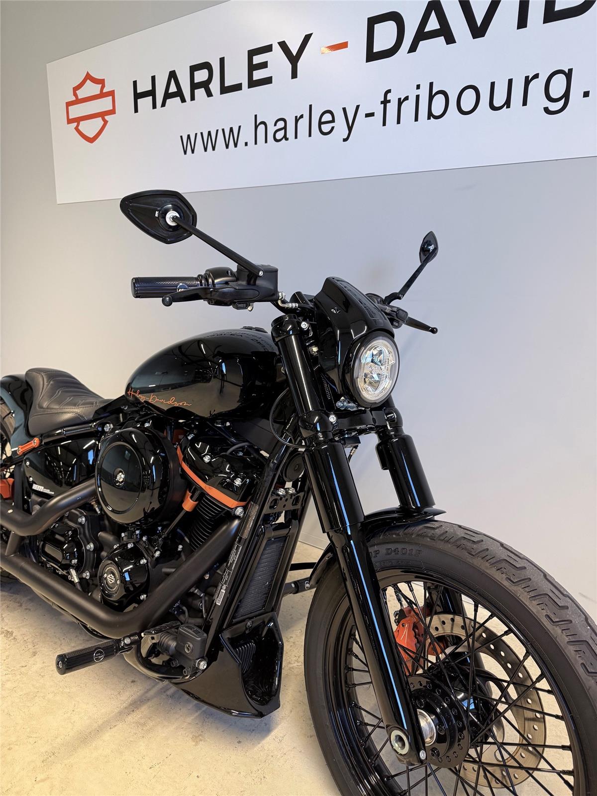 2021 harley-davidson FXST Softail Standard 107