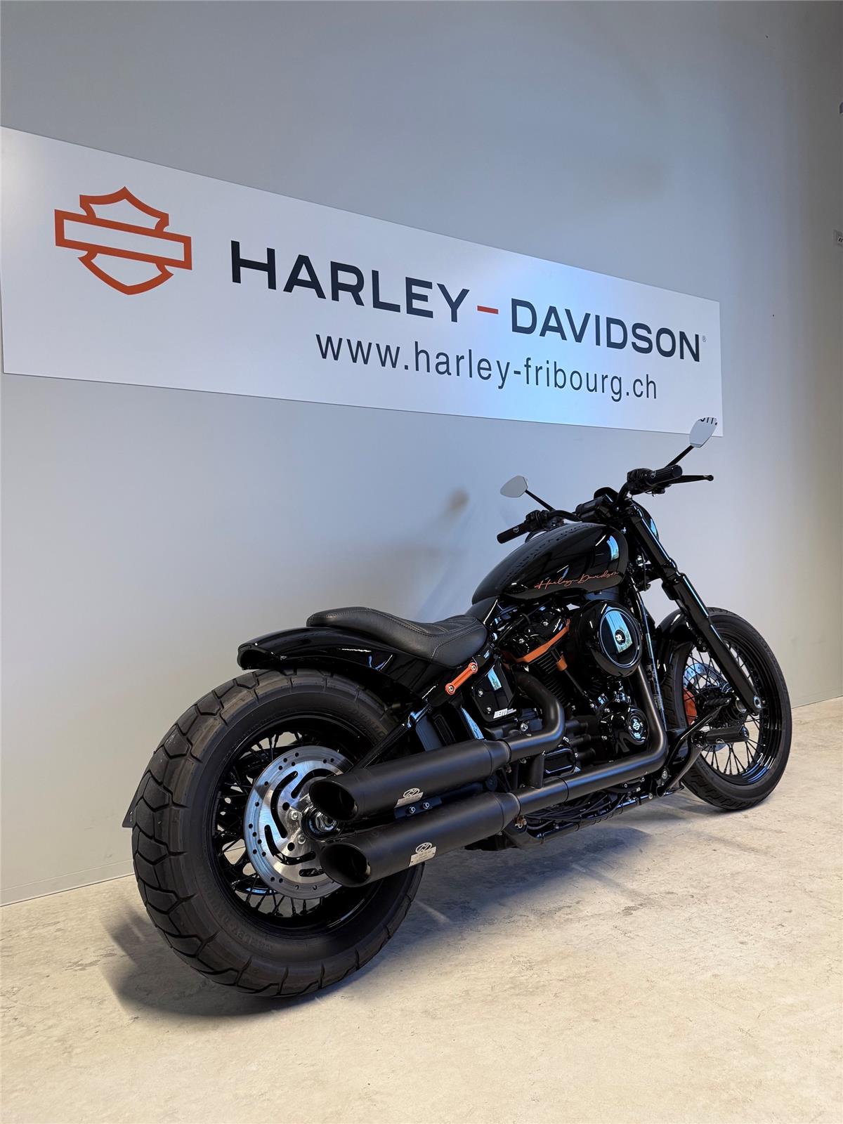 2021 harley-davidson FXST Softail Standard 107