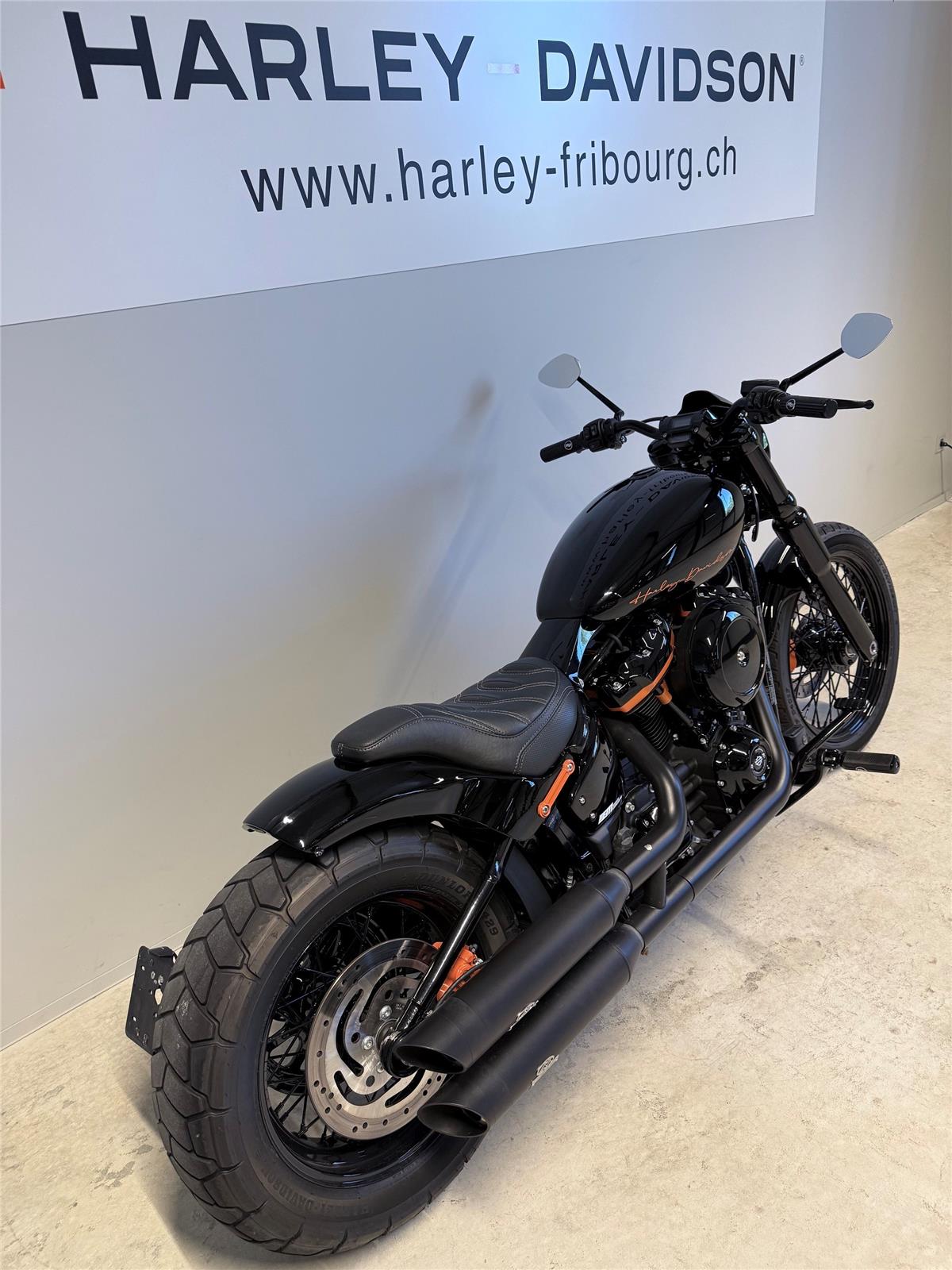 2021 harley-davidson FXST Softail Standard 107