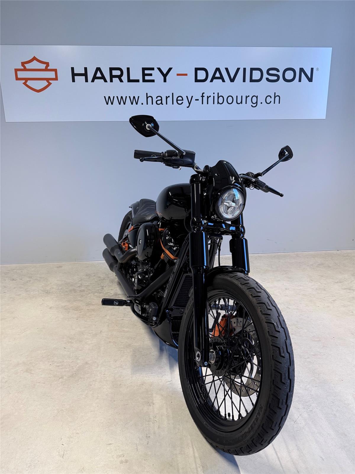 2021 harley-davidson FXST Softail Standard 107