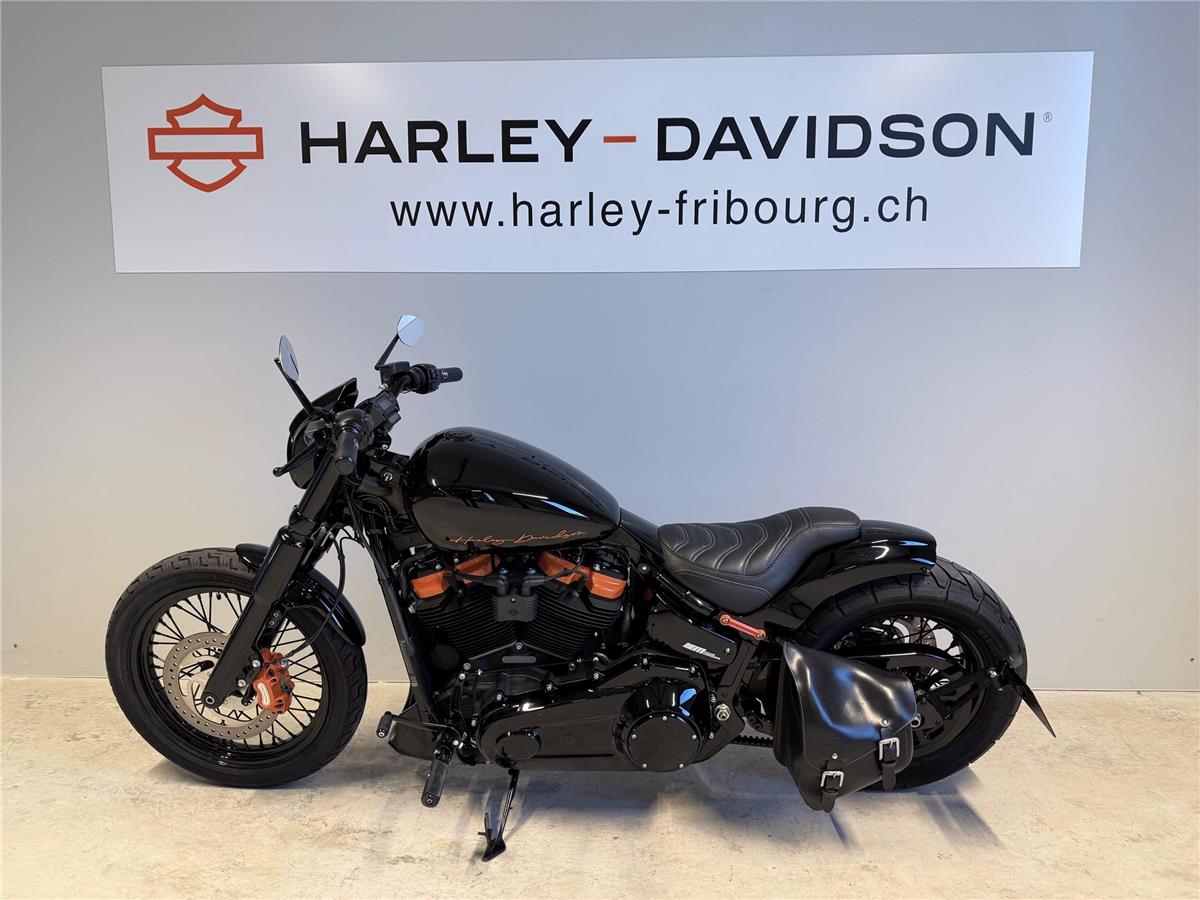 2021 harley-davidson FXST Softail Standard 107