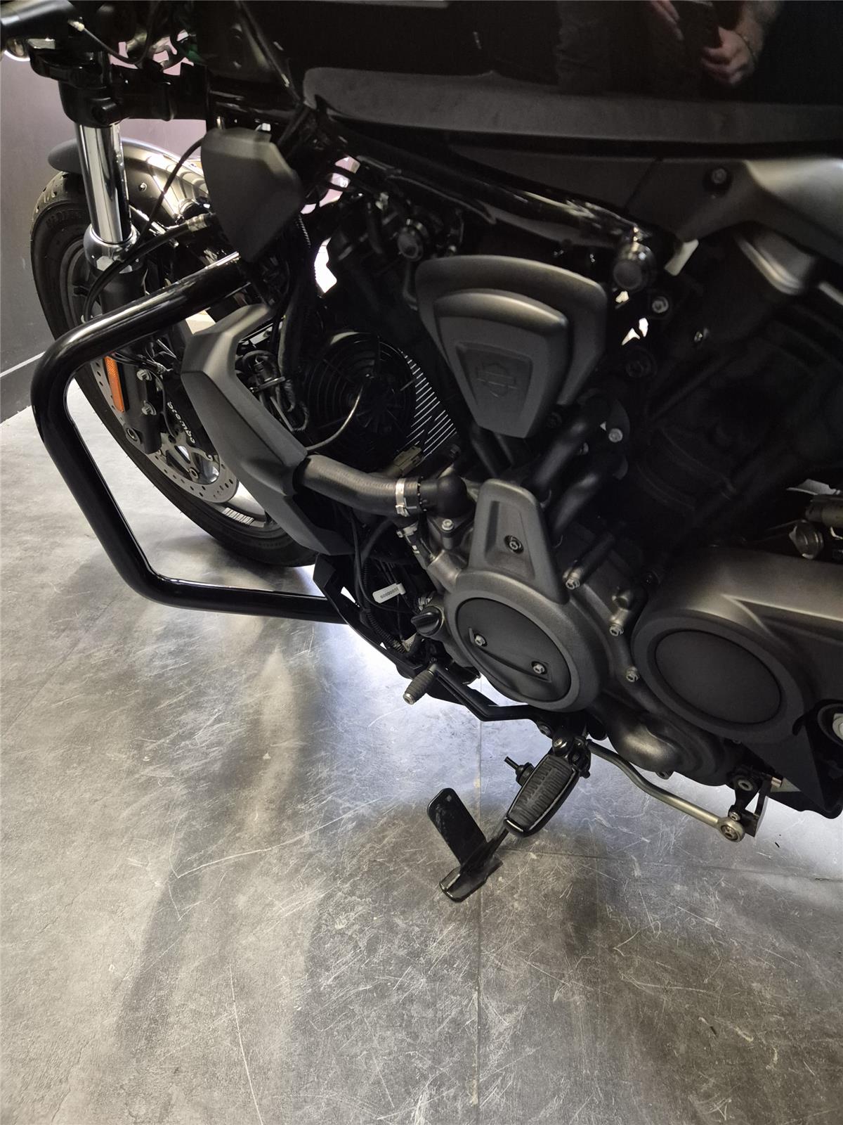 2022 HARLEY-DAVIDSON NIGHTSTER