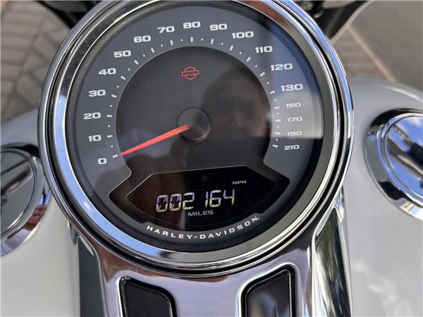 2021 HARLEY-DAVIDSON Softail
