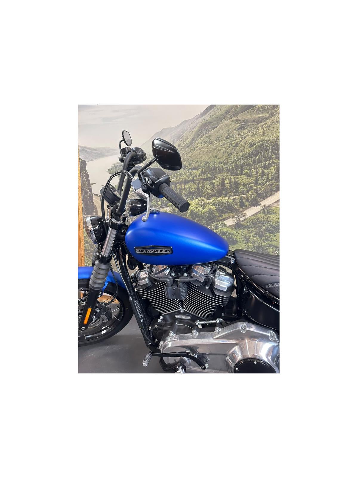 Street Bob 