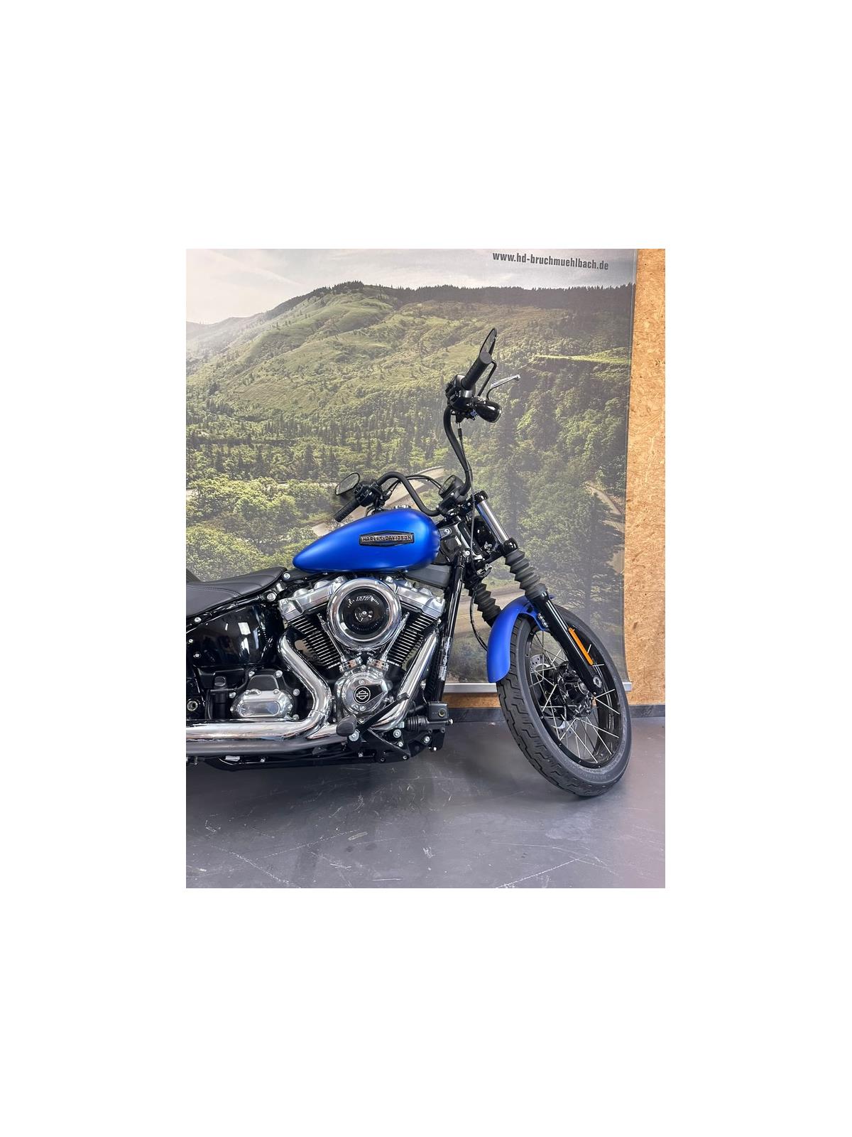 Street Bob 