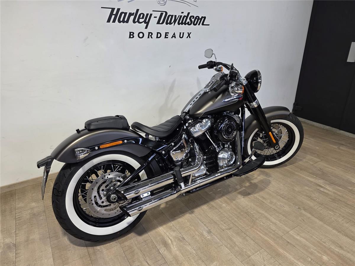 2021 HARLEY-DAVIDSON SLIM