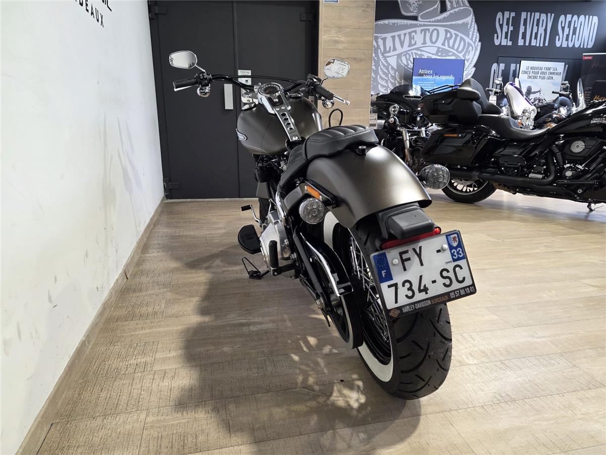 2021 HARLEY-DAVIDSON SLIM