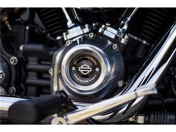 2022 Harley-Davidson Softail Standard