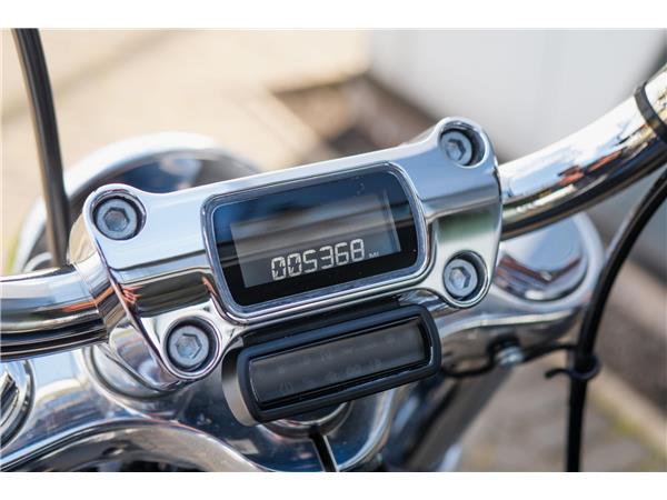 2022 Harley-Davidson Softail Standard