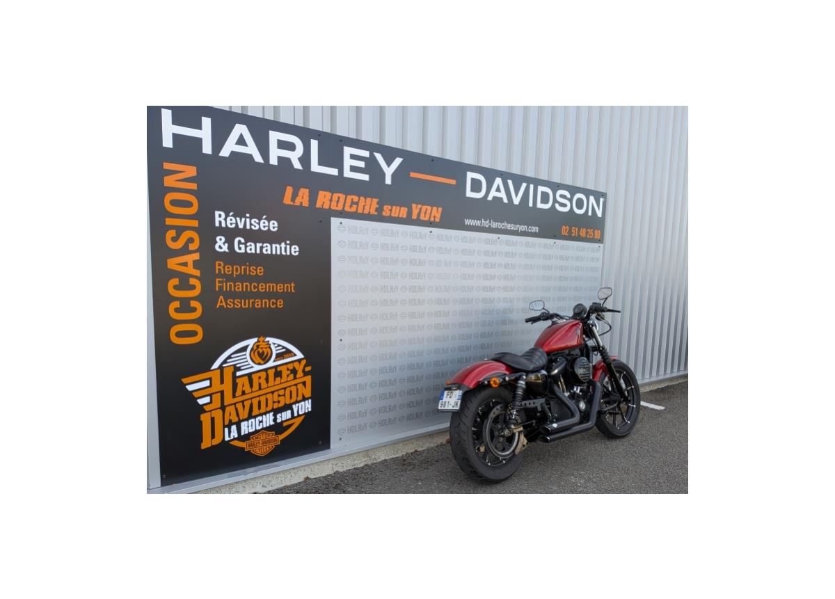 2019 HARLEY-DAVIDSON IRON