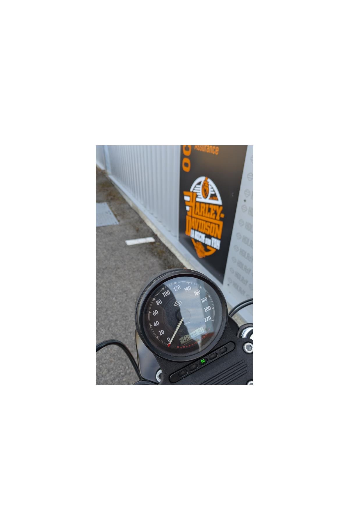 2019 HARLEY-DAVIDSON IRON