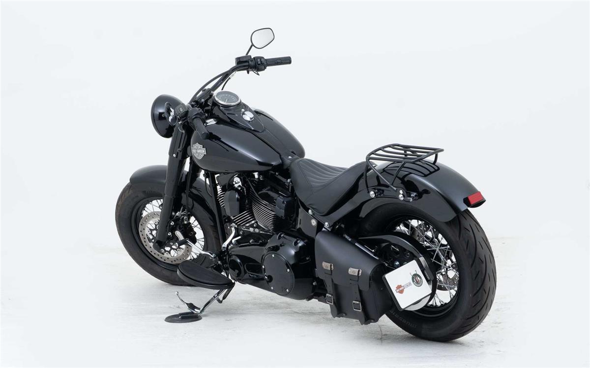 2017 harley-davidson FLSS Softail Slim S110 ABS