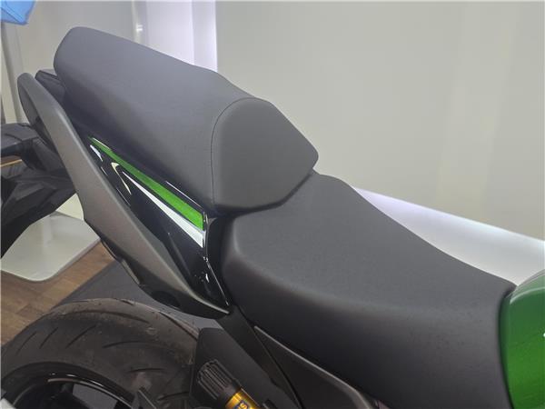 2026 KAWASAKI NINJA 1100 SX SE