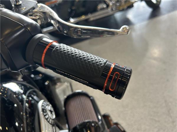 2025 Harley-Davidson Softail