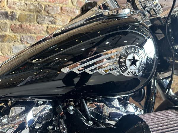 2025 Harley-Davidson Softail