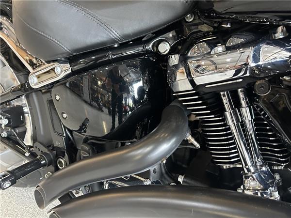 2025 Harley-Davidson Softail