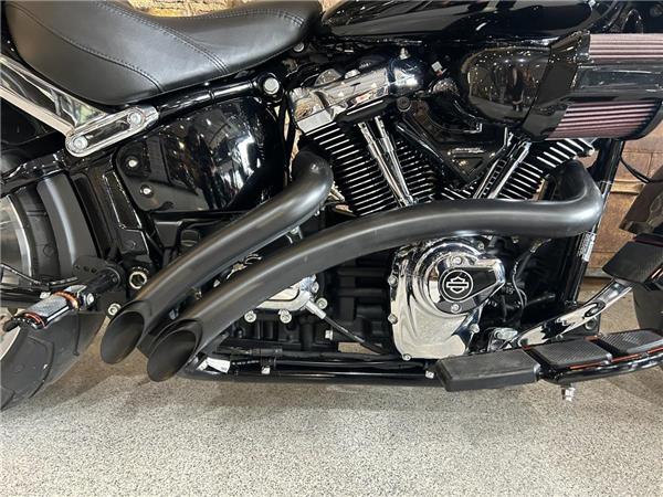 2025 Harley-Davidson Softail
