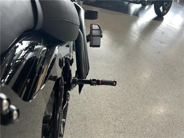 2025 Harley-Davidson Softail