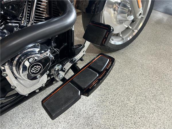 2025 Harley-Davidson Softail