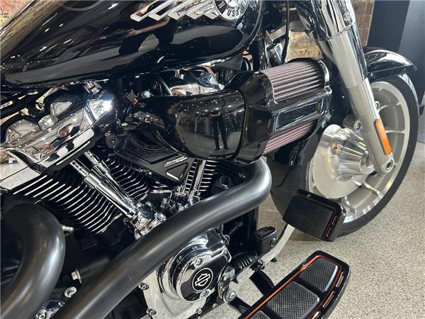 2025 Harley-Davidson Softail
