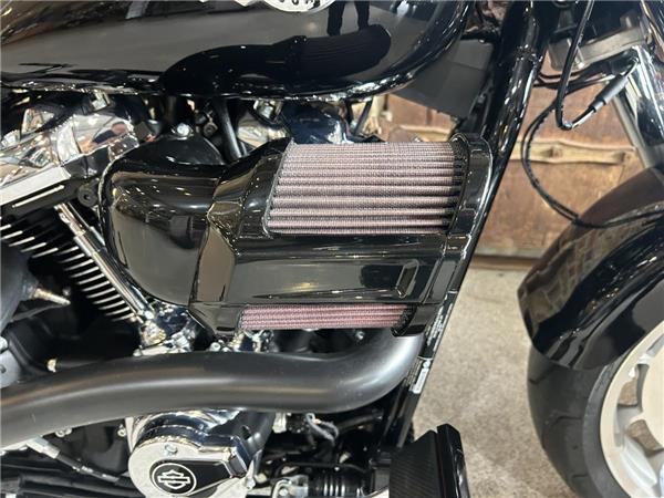 2025 Harley-Davidson Softail