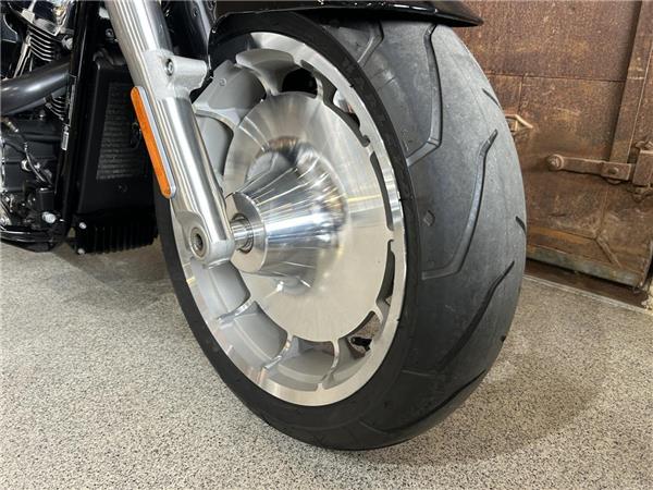 2025 Harley-Davidson Softail