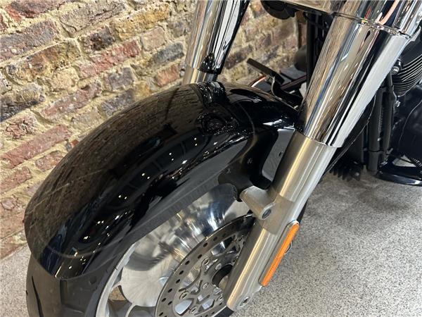 2025 Harley-Davidson Softail