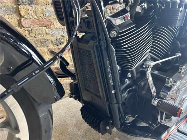 2025 Harley-Davidson Softail