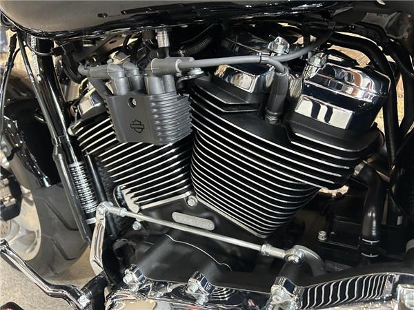 2025 Harley-Davidson Softail