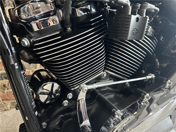 2025 Harley-Davidson Softail