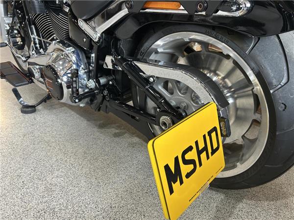 2025 Harley-Davidson Softail