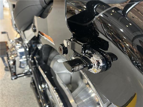 2025 Harley-Davidson Softail