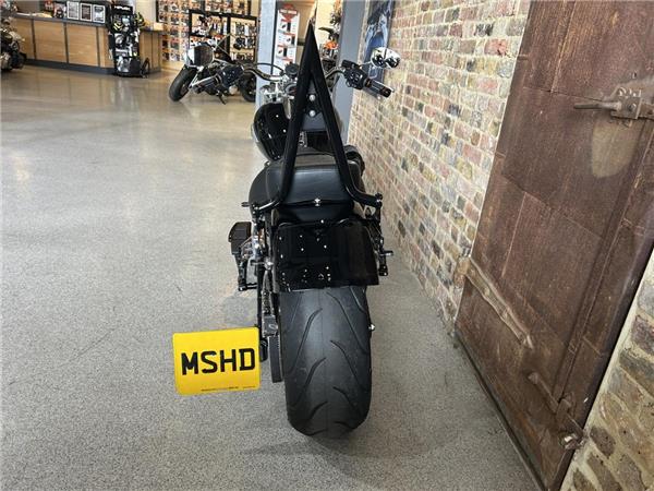 2025 Harley-Davidson Softail