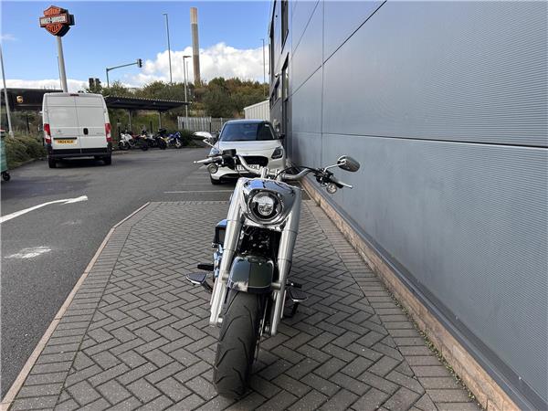 2026 HARLEY-DAVIDSON Softail