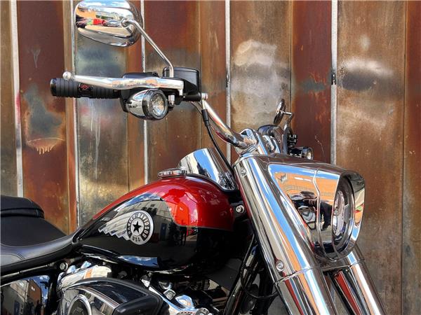 2025 Harley-Davidson Softail