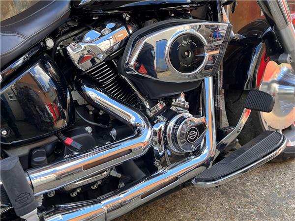 2025 Harley-Davidson Softail