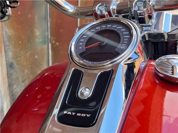 2025 Harley-Davidson Softail