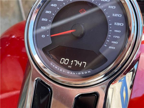 2025 Harley-Davidson Softail