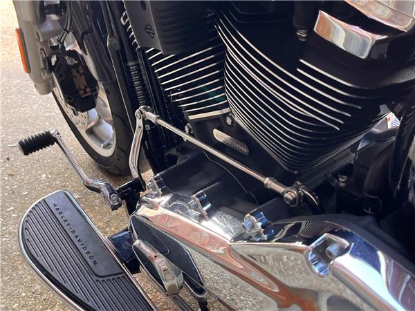 2025 Harley-Davidson Softail