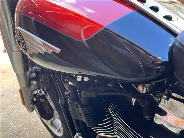 2025 Harley-Davidson Softail