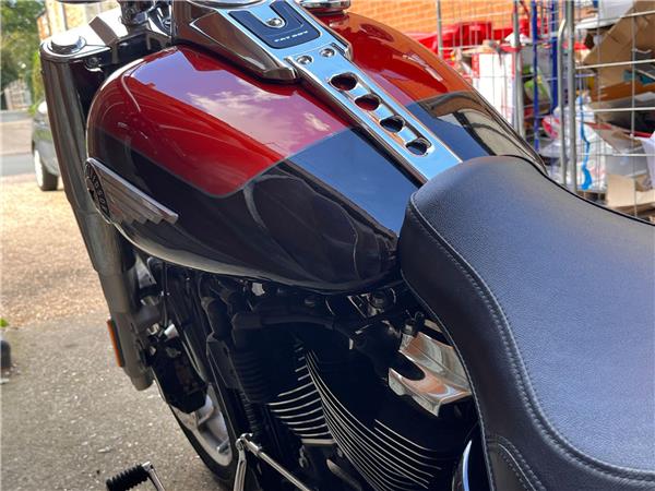 2025 Harley-Davidson Softail