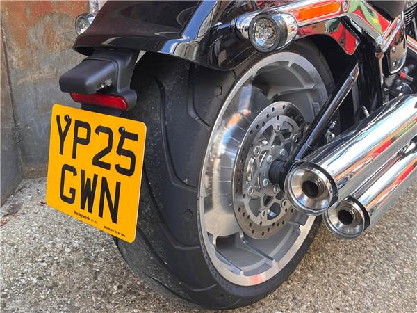 2025 Harley-Davidson Softail
