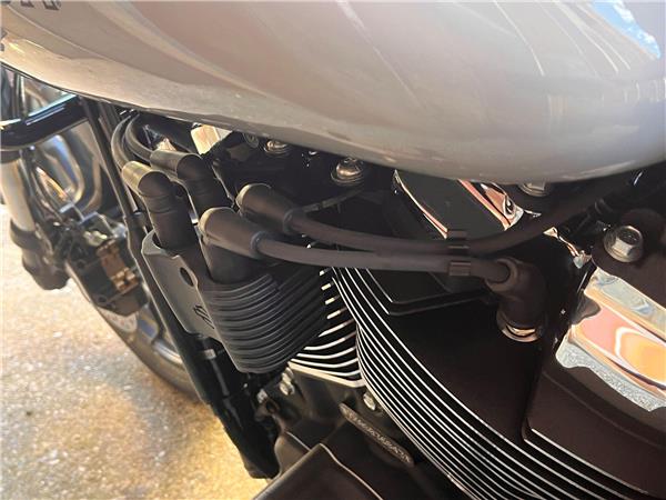 2025 Harley-Davidson Softail