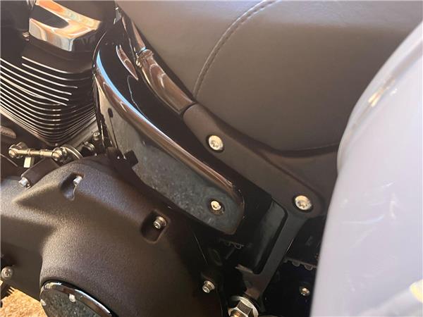2025 Harley-Davidson Softail
