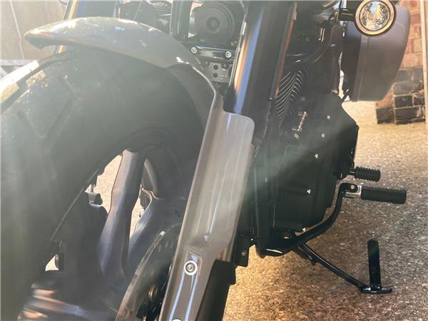 2025 Harley-Davidson Softail