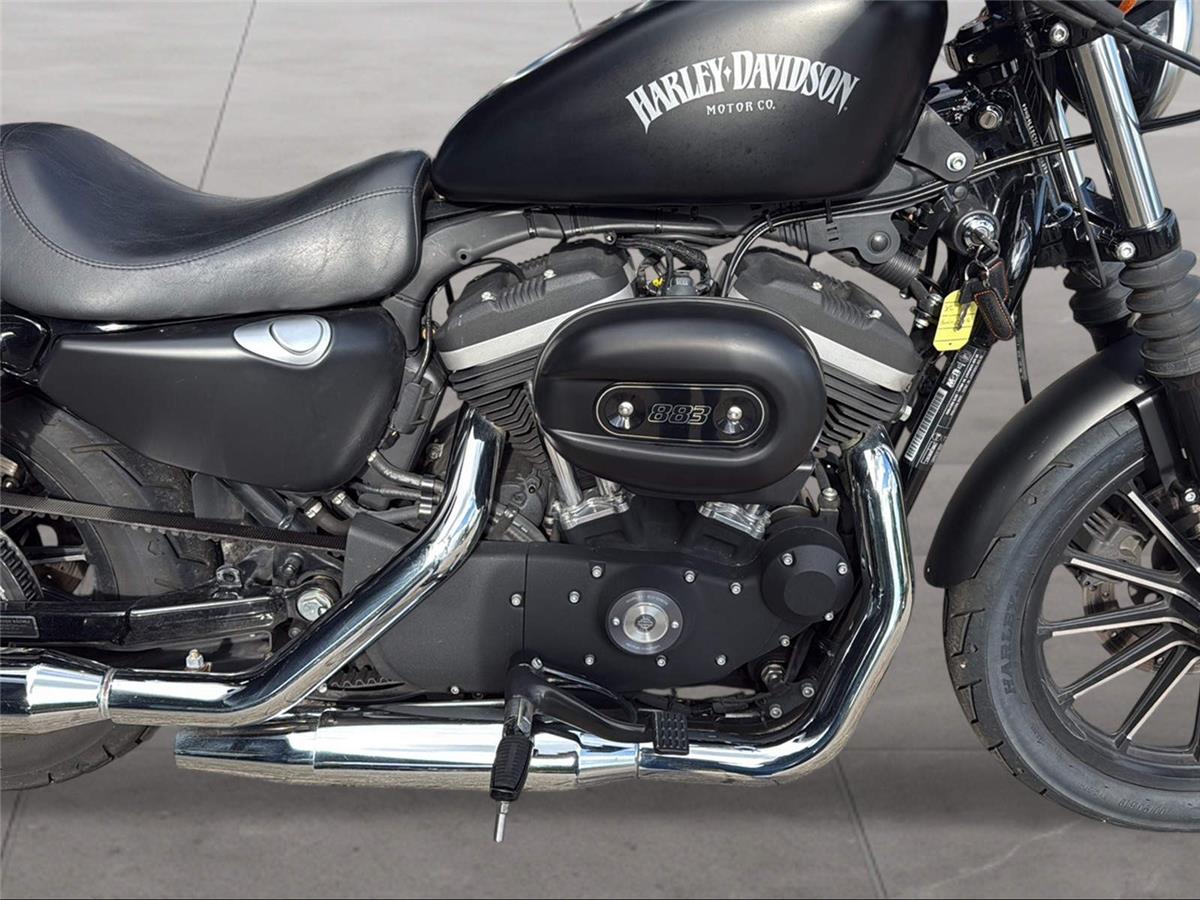 2012 harley-davidson XL 883 N Sportster Iron