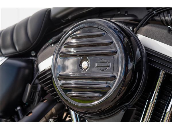 2019 Harley-Davidson Iron 883